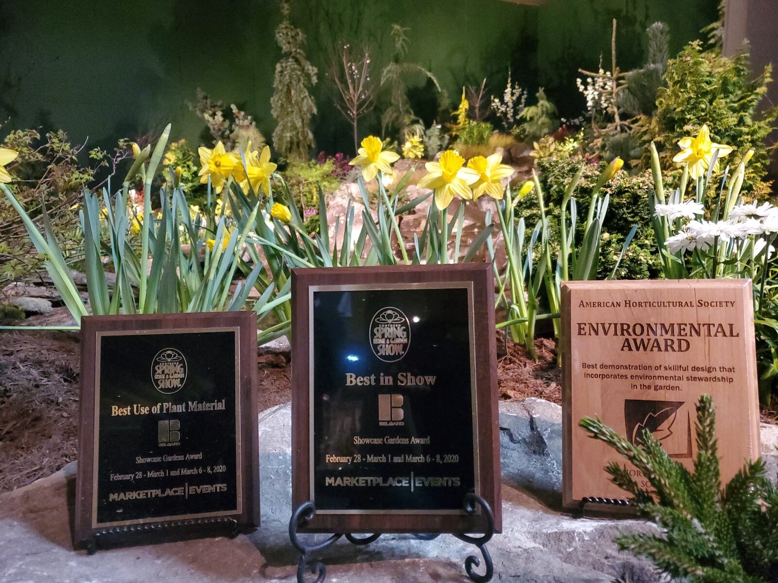 Best in Show, Best Use of Plant Material, and Environmental Award plaques among daffodils and daisies
