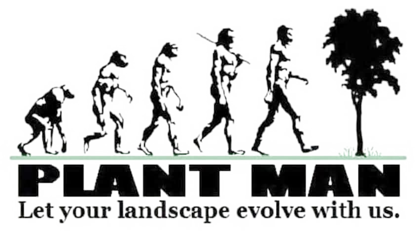 Plant Man, landscape design and build