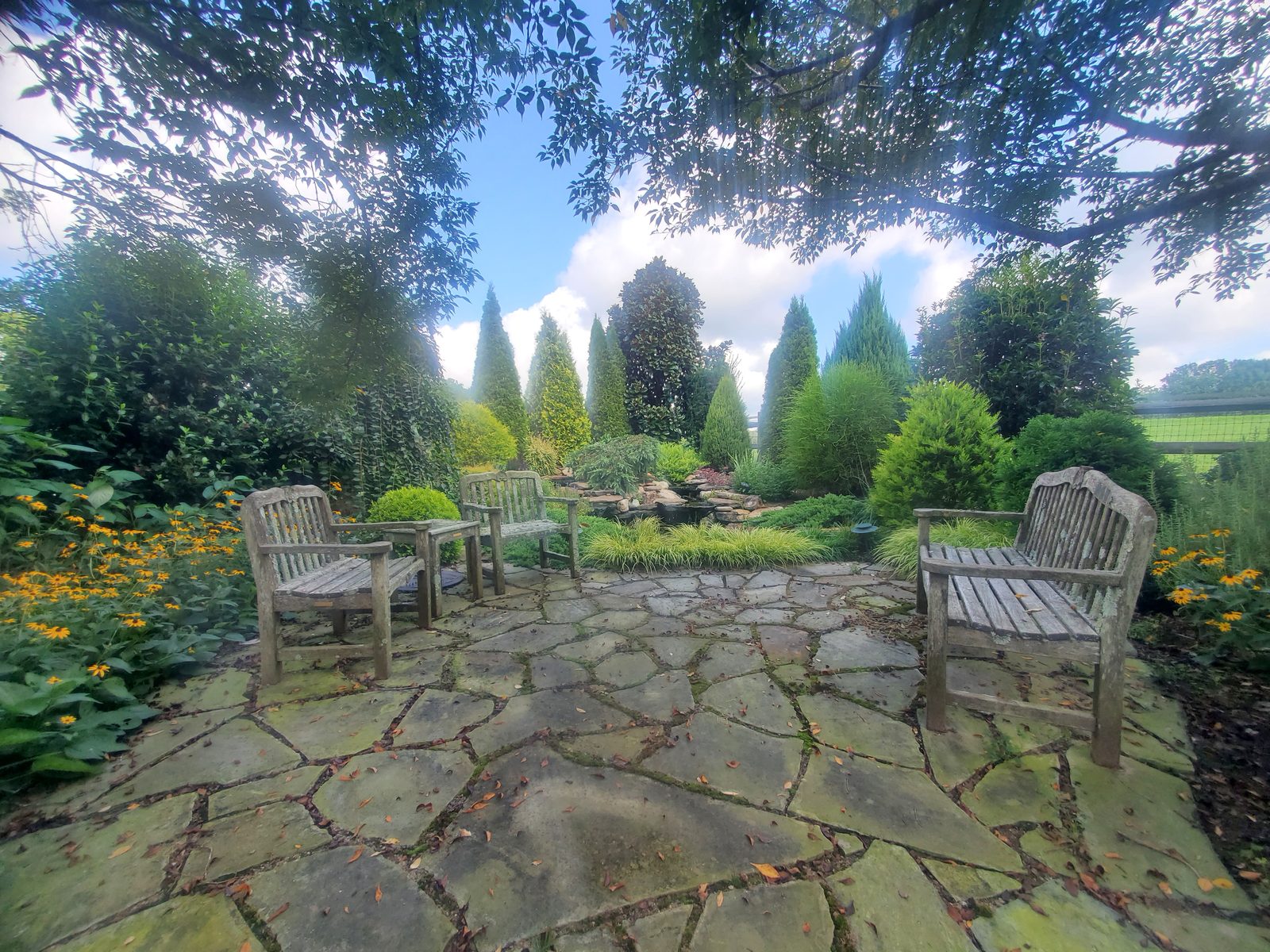 Flagstone patio with garden benches beneath mature conifer topiary at Lake Wylie