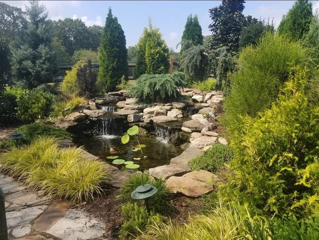 Naturalistic pond and waterfall with mature planting at Lake Wylie